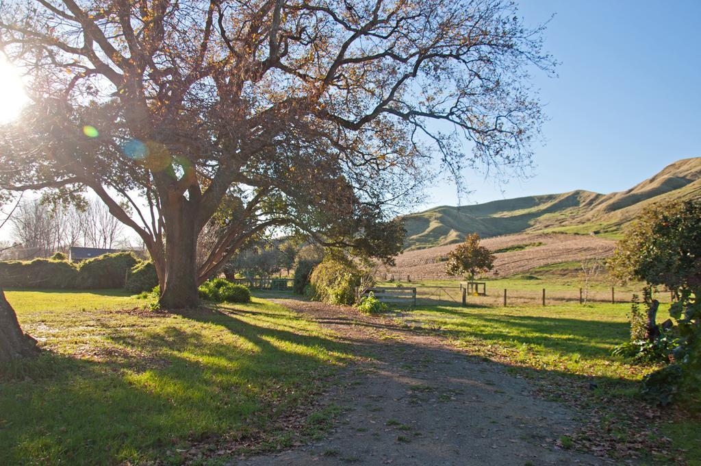 The Cottage Wairoa Екстериор снимка